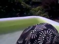 desc